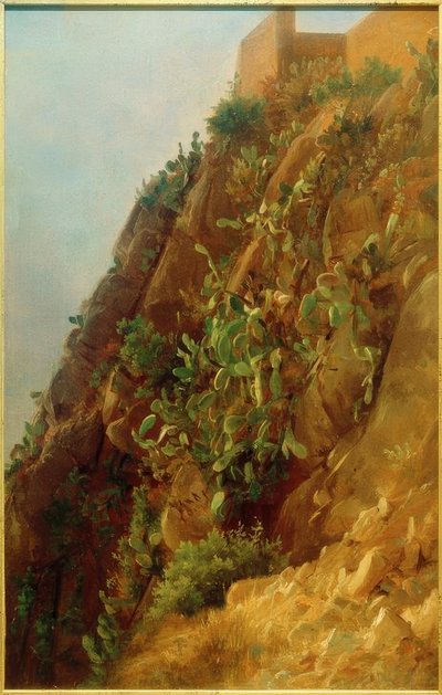 C. Morgenstern, Opuntia på en sluttning på Capri av Carl Morgenstern